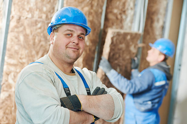 Best Insulation Maintenance and Repair in Lexington, IL