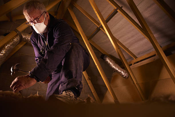 Best Energy Efficiency Solutions in Lexington, IL